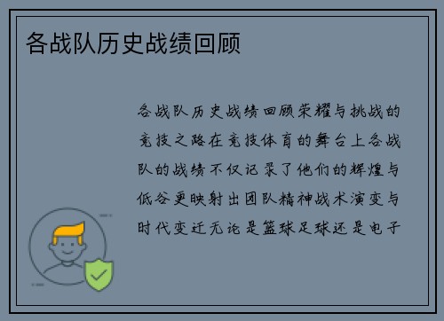各战队历史战绩回顾