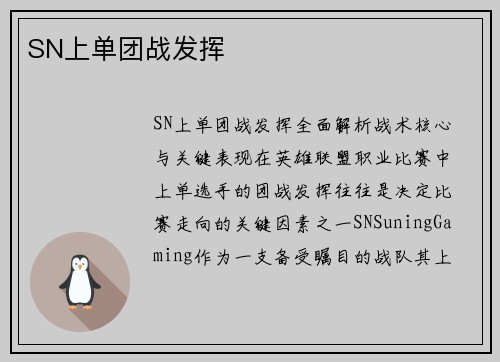 SN上单团战发挥