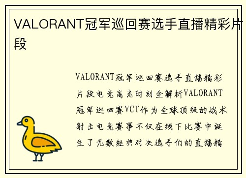 VALORANT冠军巡回赛选手直播精彩片段